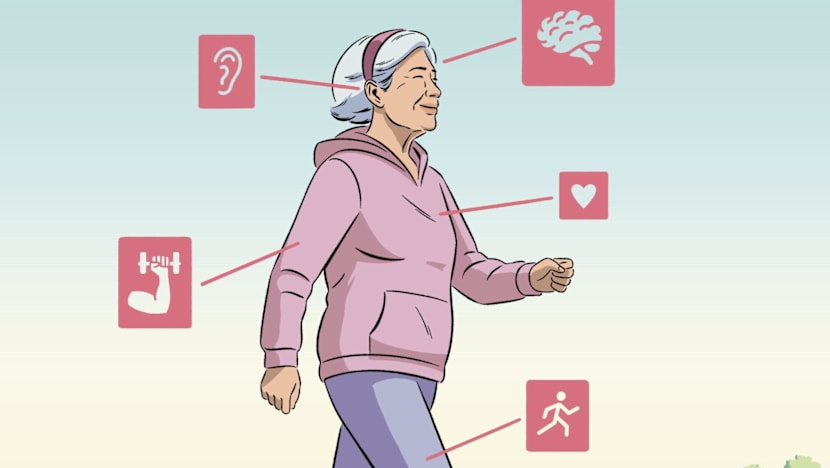 The most important longevity term you’ve probably never heard of
