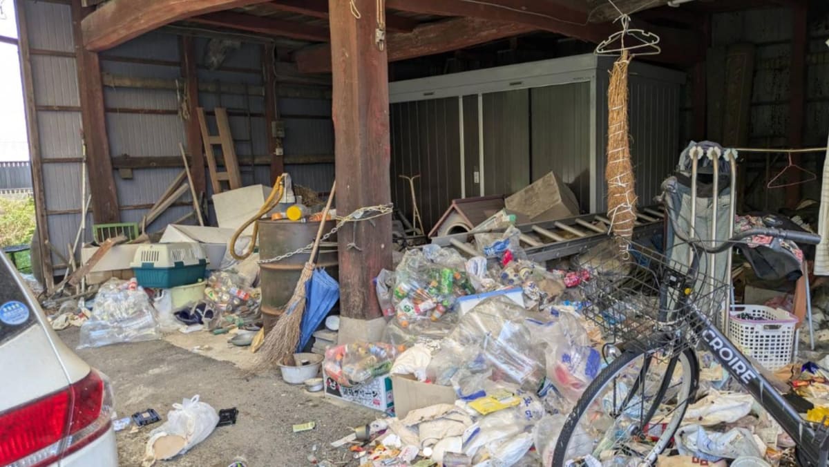 Around 100 dead cats found at Japan woman’s home