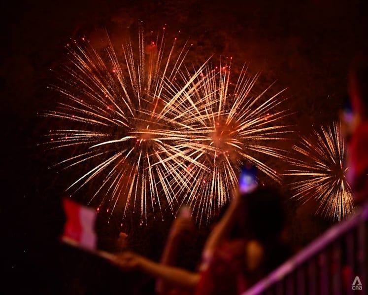 NDP 2024: Heartland celebrations sites announced for Singapore's 59th birthday