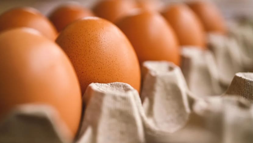 Amerika import telur dari Korea Selatan, Turki bagi tangani kenaikan harga Amerika import telur dari Korea Selatan, Turki bagi tangani kenaikan harga