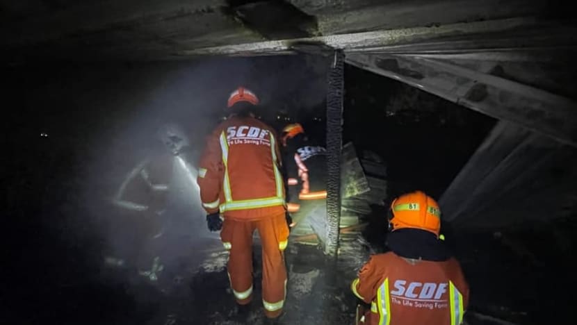 Kebakaran di Pulau Kusu tidak dimulakan dengan sengaja, tegas SCDF susuli siasatan awal Kebakaran di Pulau Kusu tidak dimulakan dengan sengaja, tegas SCDF susuli siasatan awal