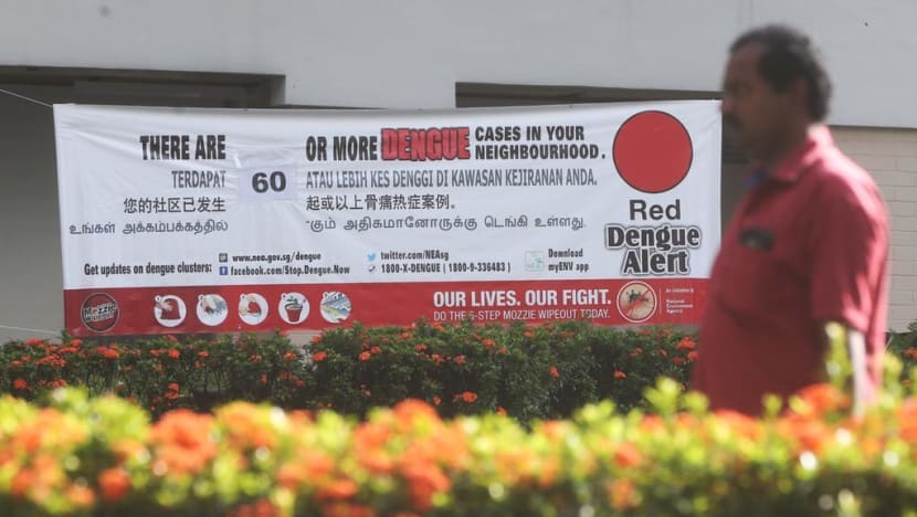 Male Wolbachia-Aedes mosquitoes to be released at HDB estates across all of Tampines, Yishun to combat dengue