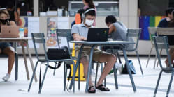 Related article image