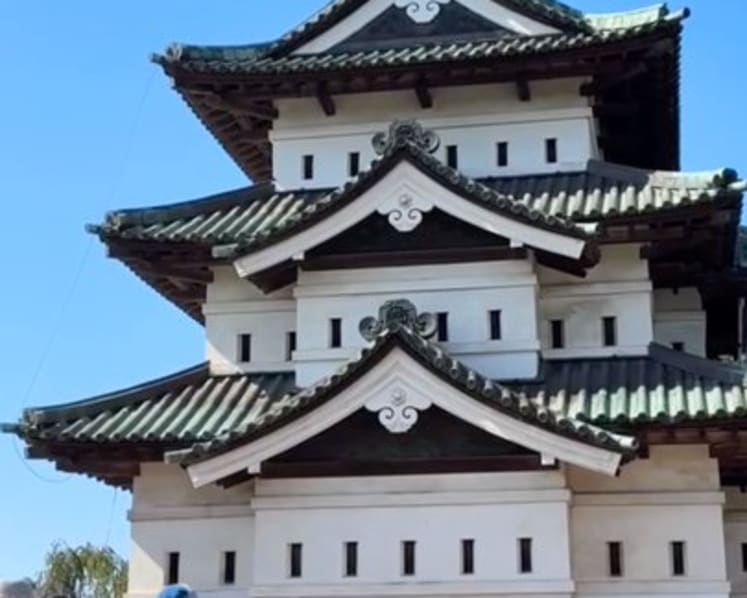 Moving castle: 1,800 people work together to shift Japanese castle