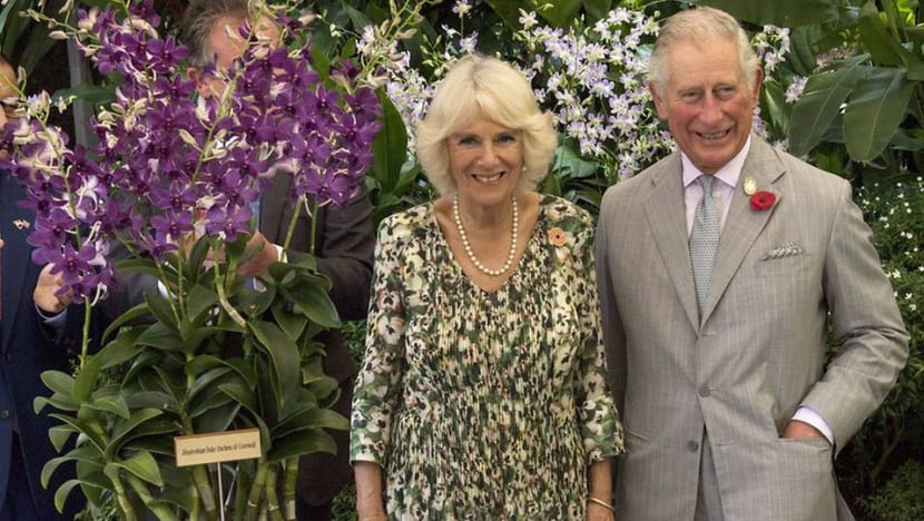 Commentary: Prince Charles’ orchid and the art of diplomatic gift-giving Commentary: Prince Charles’ orchid and the art of diplomatic gift-giving