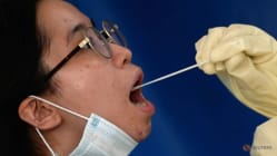 Related article image