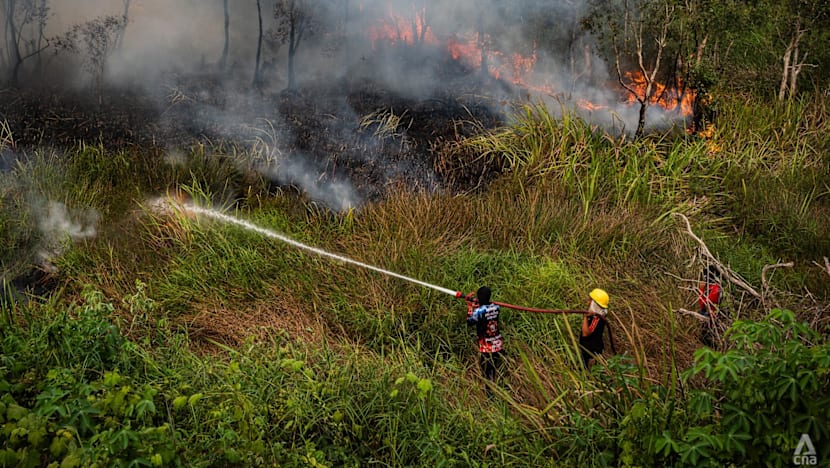 Prabowo approves foreign help to tackle fires causing regional haze, says Indonesian foreign minister