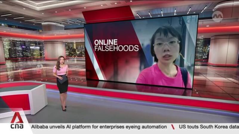 ONLINE FALSEHOODS: Correction Direction issued was necessary to protect public trust - MSF