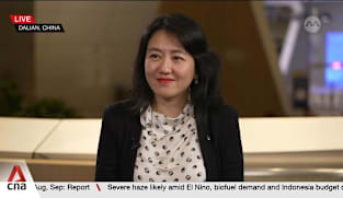 'China Opportunity 2.0' faces mixed reception overseas: Usawa Advisory