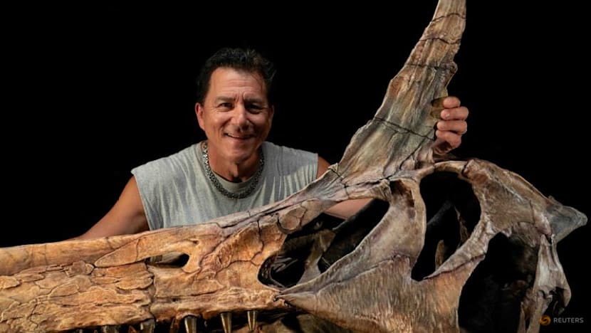 A Sahara desert odyssey yields a major dinosaur discovery