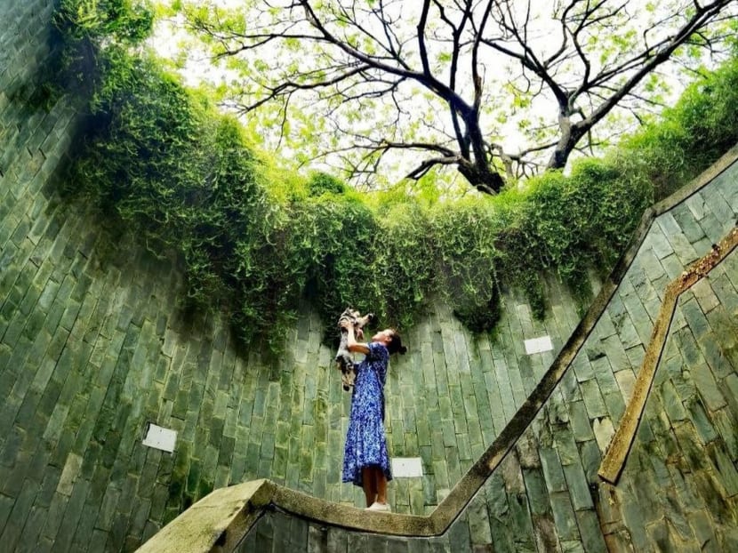  ‘We are getting better’: Zoe Tay and family grieving sudden loss of pet dog