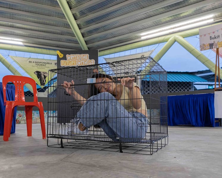 Shock and paw: SPCA uses 'experiential tools' like cages, electric collars to educate youth, deter rising animal abuse