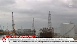 Japan to reopen its largest nuclear plant after vote 