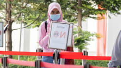 Related article image