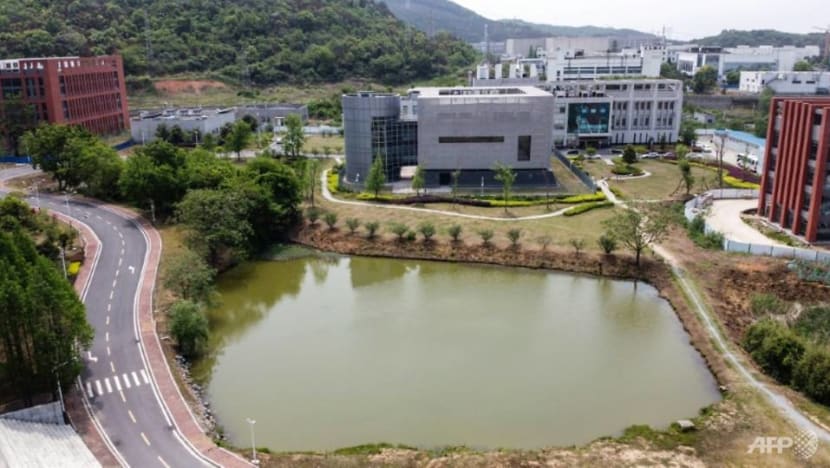 Commentary: What’s really behind fresh calls for investigations into COVID-19 origins Commentary: What’s really behind fresh calls for investigations into COVID-19 origins