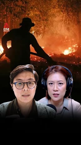 Deep Dive: Prosecuting haze-linked firms may pave way for class action suit