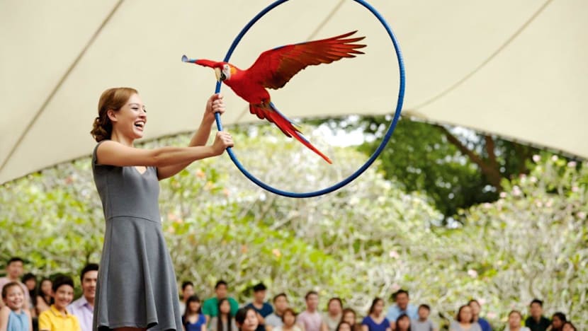 Jurong Bird Park turns 45 on Jan 3
