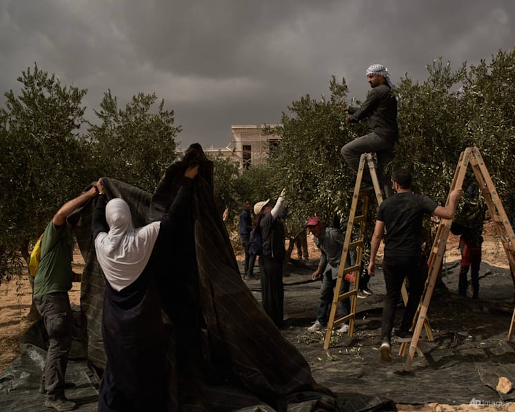 Israeli settlers attack European diplomats, beat French mayor