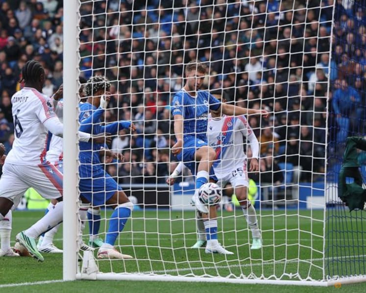 Brighton's patience pays off as Huerzeler helps Seagulls soar