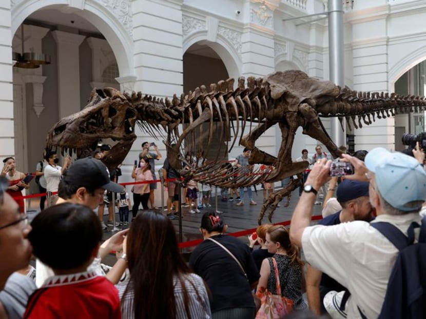 T-Rex skeleton draws crowds in Singapore before auction