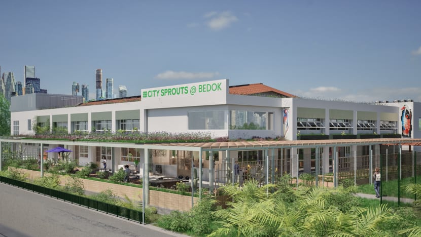 New community hub in Bedok North with therapy cats, shared kitchen to be ready by end-2025 New community hub in Bedok North with therapy cats, shared kitchen to be ready by end-2025