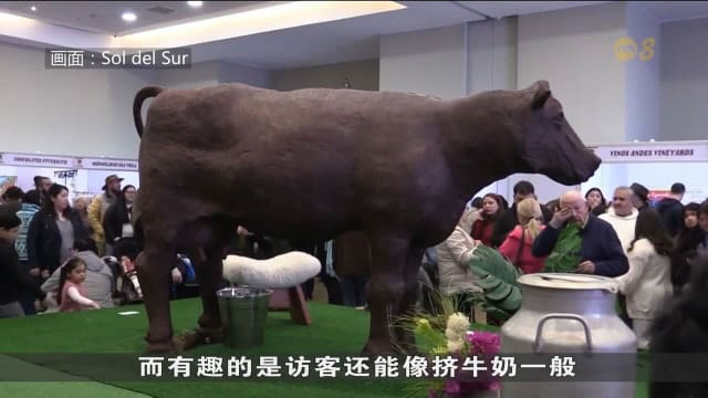 雕塑与美食跨界奇观 智利艺术家打造全球最大可食用巧克力牛