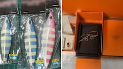 Related article image