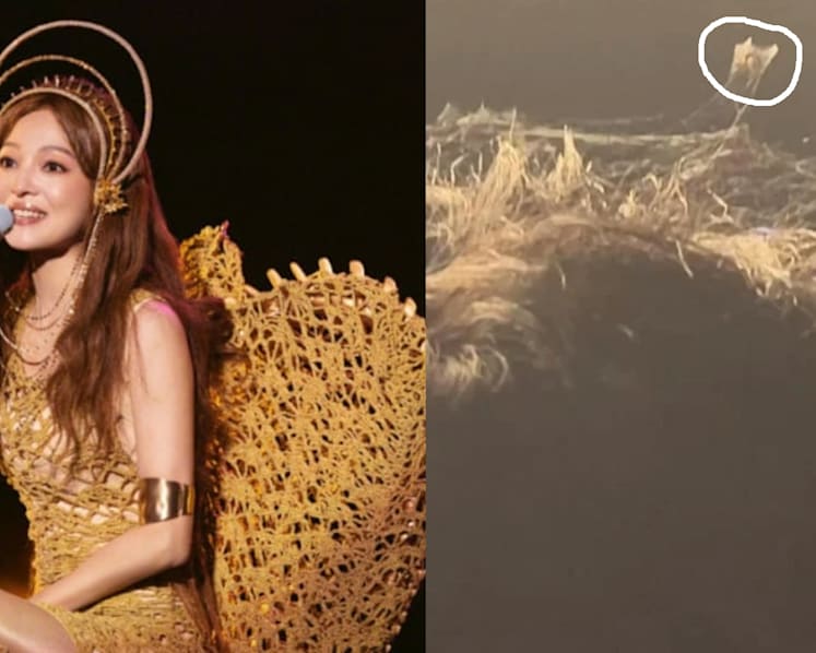 'When did he last wash his hair?': Netizen films spider spinning web on head of man at Angela Chang concert