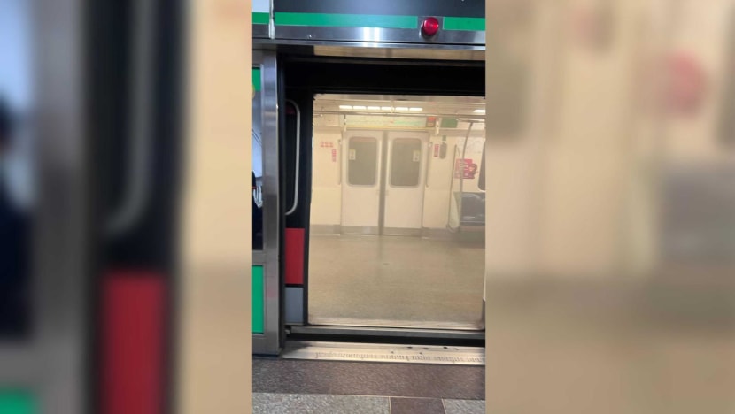 White smoke engulfs MRT train after refrigerant gas leak from air-con system White smoke engulfs MRT train after refrigerant gas leak from air-con system
