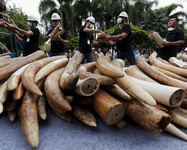 Why S'pore's proposed ivory ban may not solve problem of illegal trade