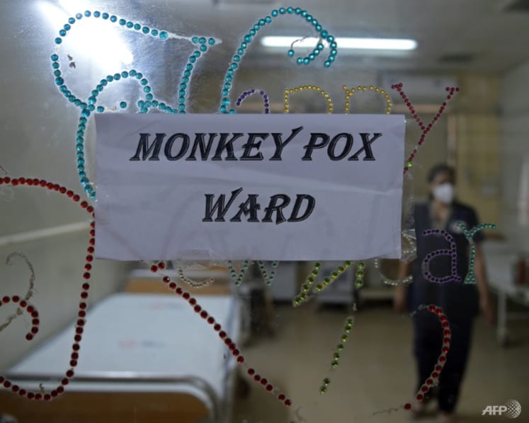 Commentary: Why doesn’t monkeypox have a new name yet?