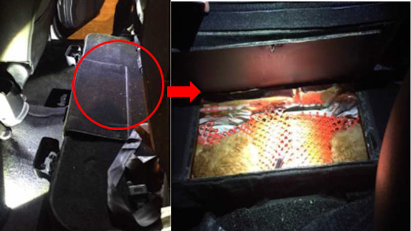 M’sian man jailed  for importing puppies without a permit