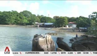 Protecting Pulau Ubin: Boosting conservation with tree planting, shoreline restoration