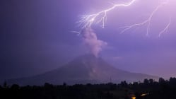 Related article image