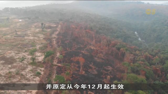 欧盟修改并推迟反森林砍伐法案