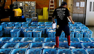 Japan wholesale inflation extends surge as energy shock hits