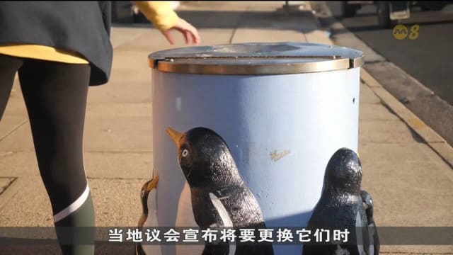 澳洲政府要拆除企鹅镇垃圾箱 居民发起垃圾箱保卫战