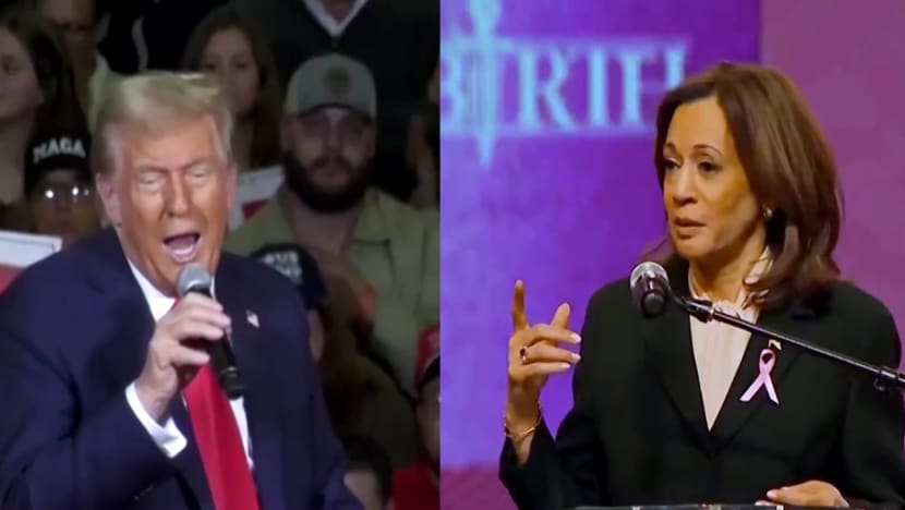 Dua minggu menjelang pilpres AS, Harris unggul tipis atas Trump, menurut jajak pendapat Dua minggu menjelang pilpres AS, Harris unggul tipis atas Trump, menurut jajak pendapat