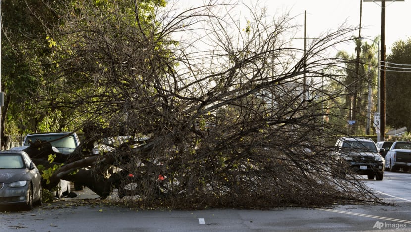 California dries out, digs out after storm dumps rain, snow California dries out, digs out after storm dumps rain, snow