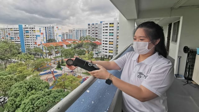国家环境局把伊蚊绝育计划拓展至大巴窑