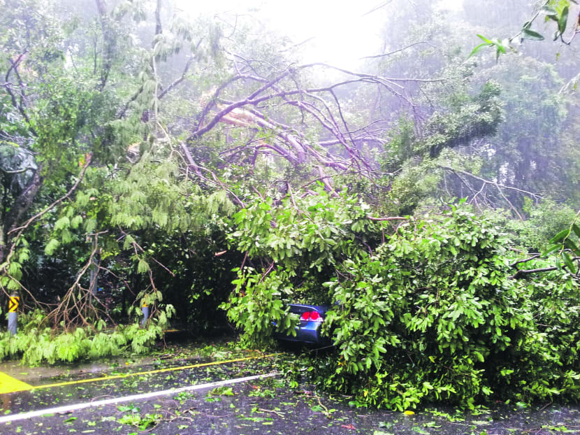 Floods hit western Singapore