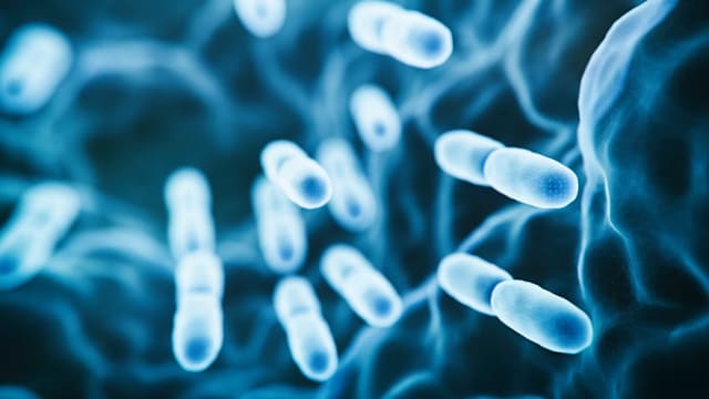 台湾今年新增梅毒病例破9000起 年轻群体增幅最显著 