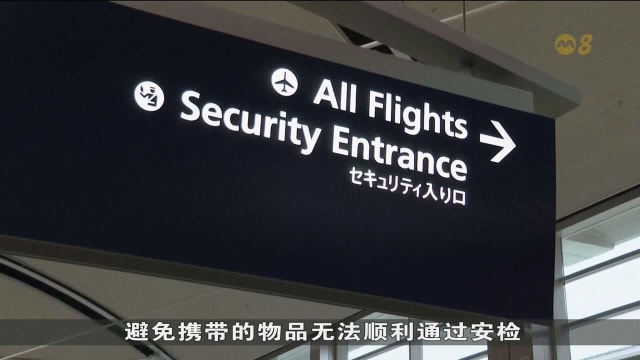 美国感恩节前夕人口大流动 搭客获准带整只火鸡通关