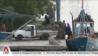 Thailand's fishing industry under strain as soaring fuel prices keep boats docked