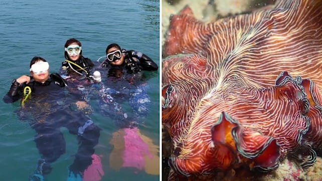 Marine community fears loss of biodiversity hotspot to proposed western island development