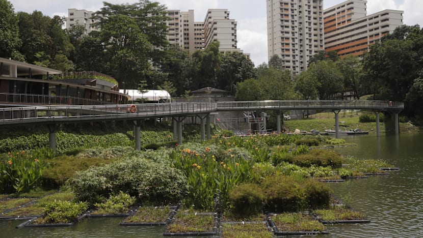 Revamped Pang Sua Pond in Bukit Panjang to be officially unveiled on Saturday