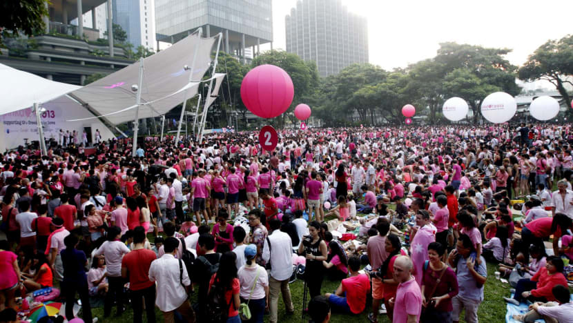 Security personnel for Pink Dot tripled ahead of event