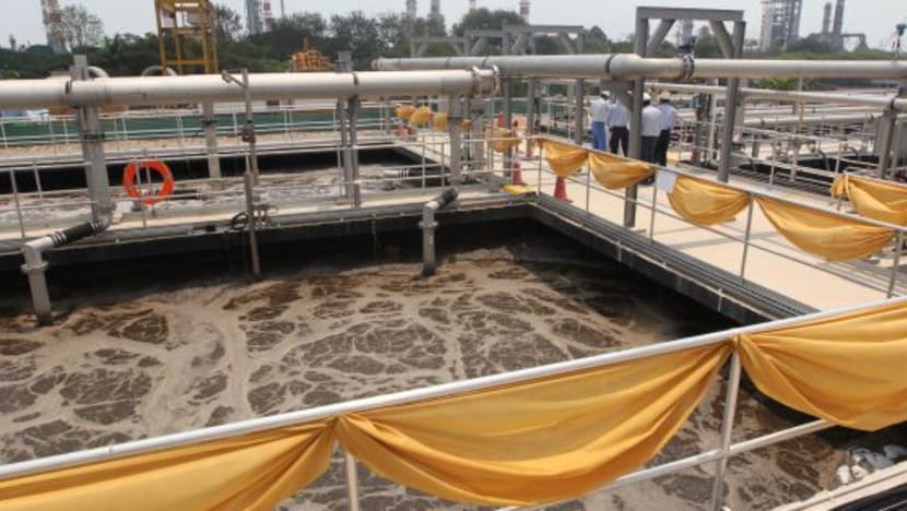Tuas water plant: Ecosystem monitoring urged