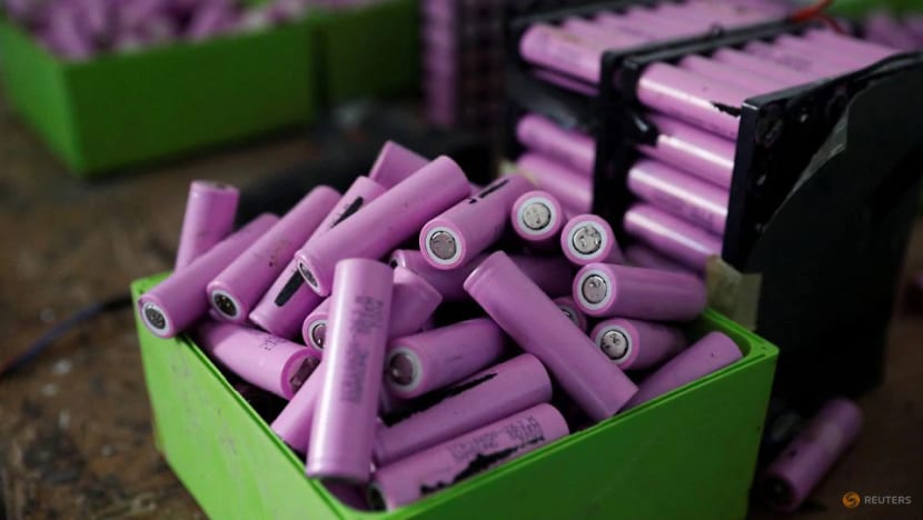 Pilot recycling plant uses fruit peels to break down metal waste in lithium batteries Pilot recycling plant uses fruit peels to break down metal waste in lithium batteries
