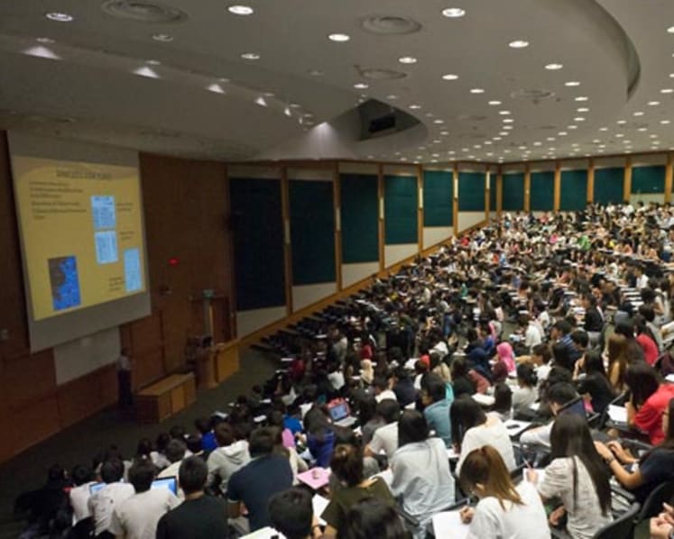 As Singapore grows in popularity with Chinese students, universities roll out Mandarin-taught programmes